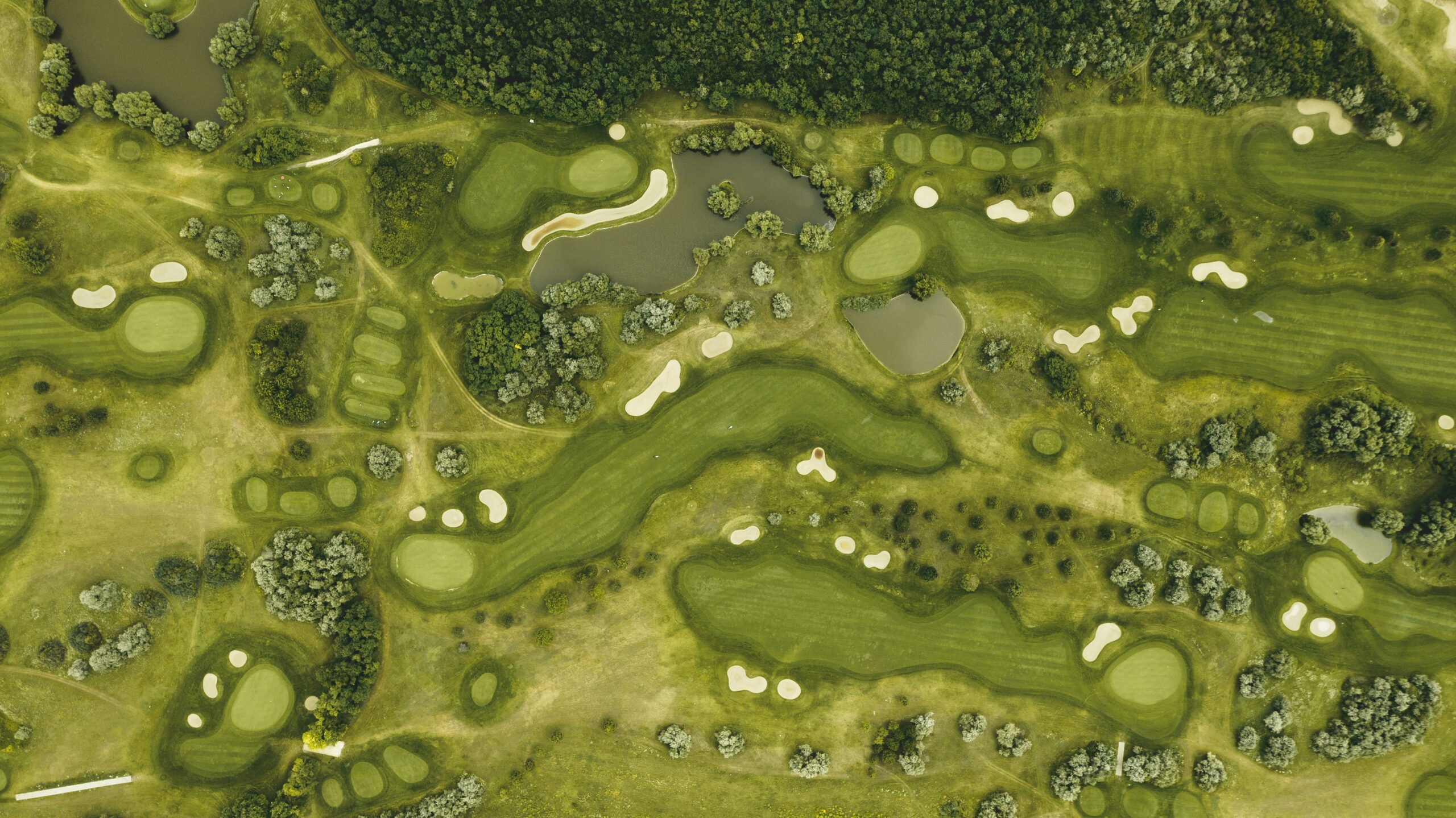 golf-course-1